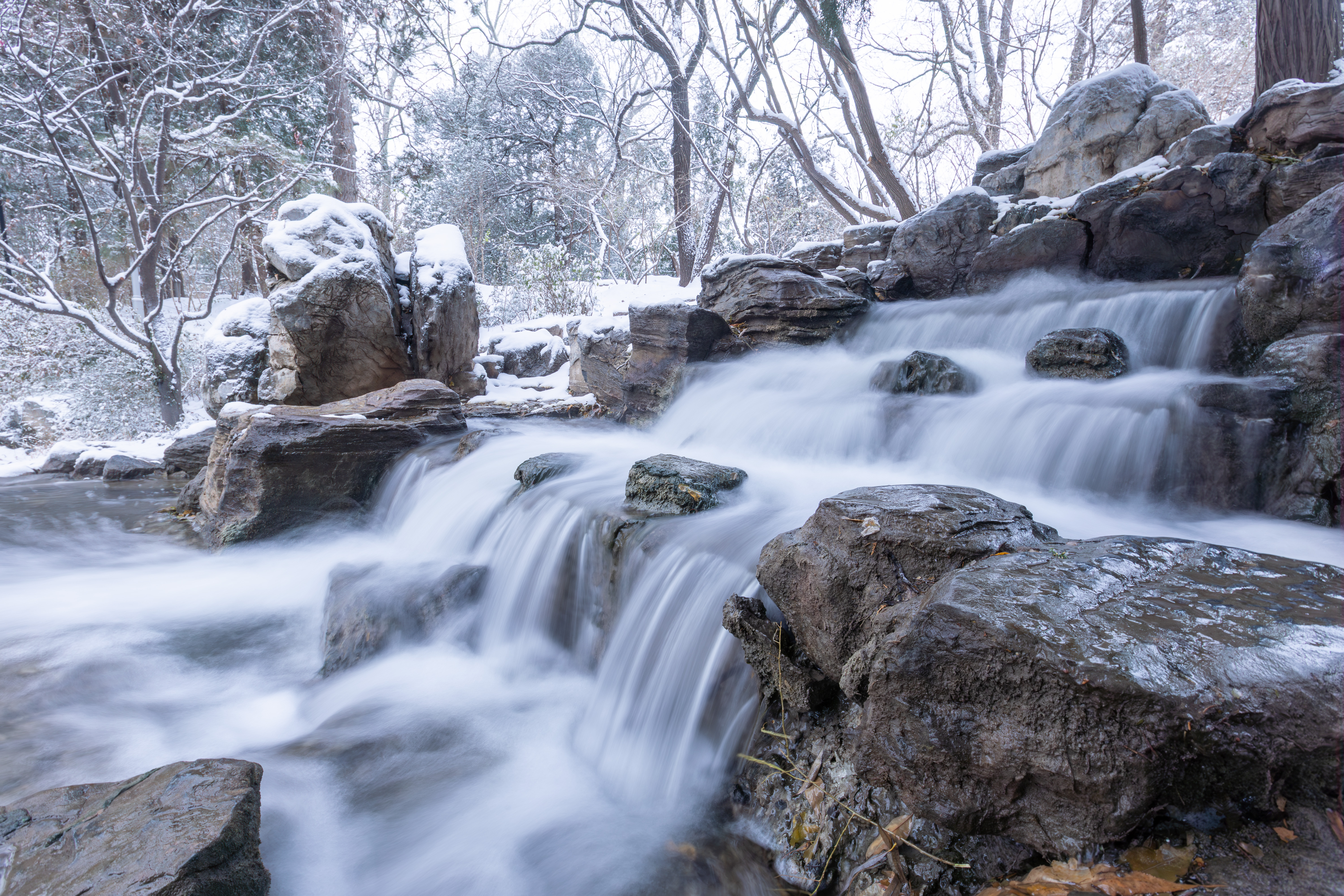 20231211-雪10-网堵-供图.jpg