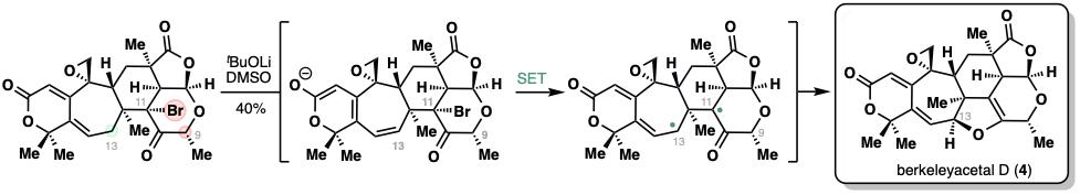 20250211-JACS-李超-4. 单电子转移（SET）构建二氢呋喃环的发现.jpg