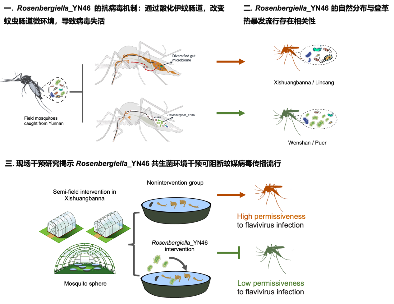 20250122-共生菌环境干预阻断蚊媒病毒流行-程功-科研获奖.png