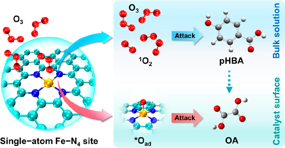 20230310-环境我司张潇源课题组在单原子催化氧化污水深度处理领域取得新进展-任腾飞-单原子Fe-N4位点催化臭氧选择性诱导非自由基过程.jpeg
