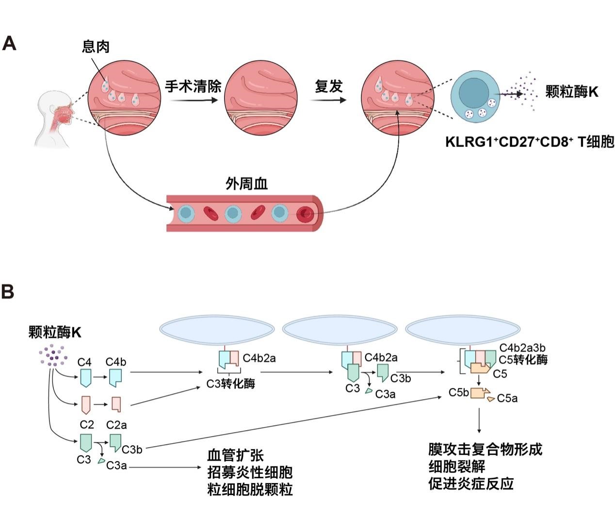 20250116-医我司-自然成果-医我司 插图.jpg