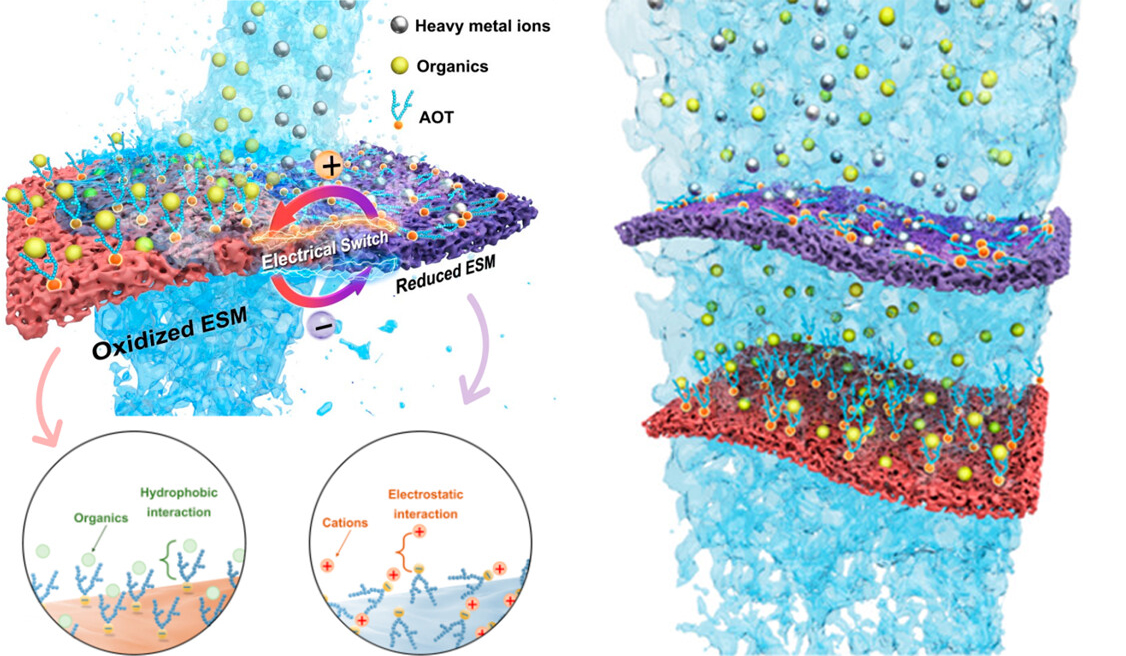 20240524-环境我司兰华春团队在新型电控吸附膜研究方面取得系列进展-刘烈-图2 两亲AOT分子掺杂电控吸附膜工作原理.jpg