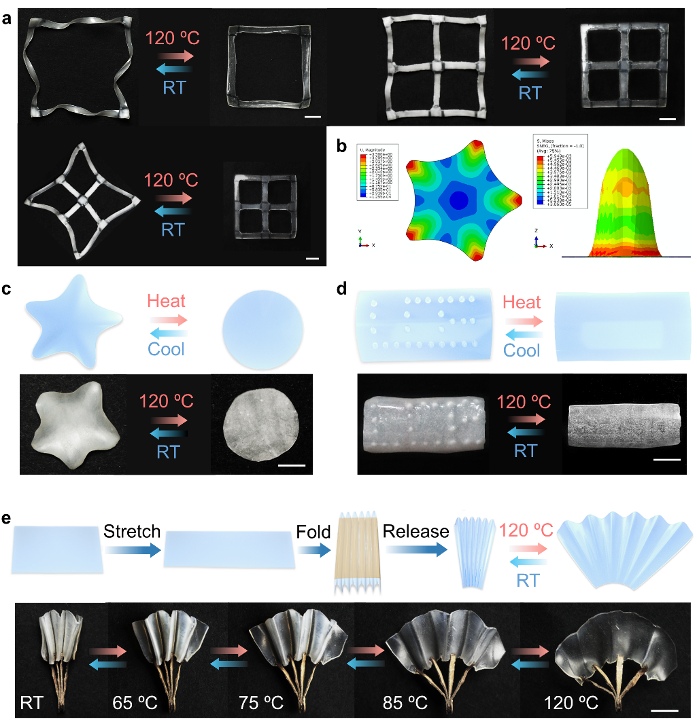 20240524-科研发文-吉岩-4.png