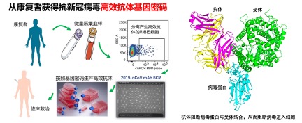 20220416-419-医我司-张林琦团队成果jpg